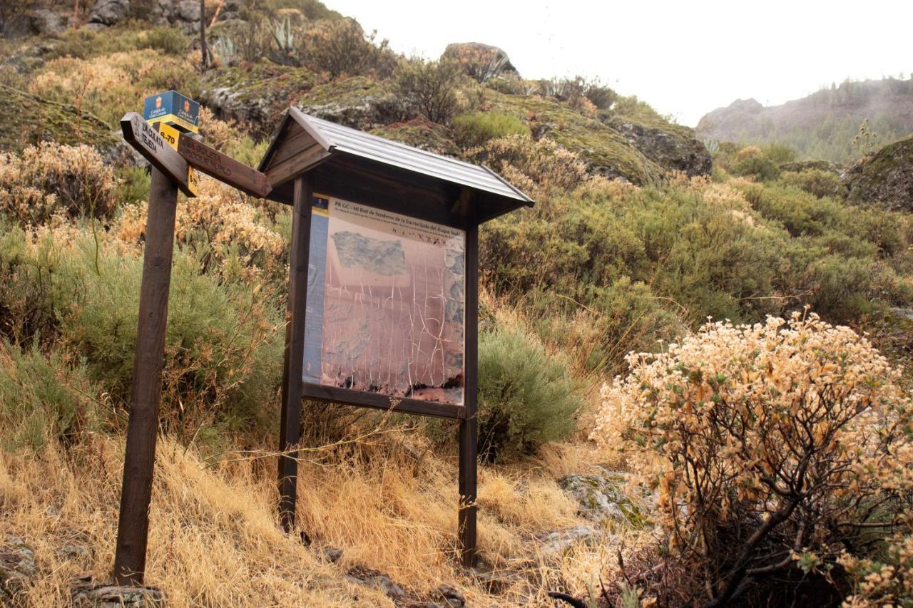 La Vuelta Del Amo Vila Las Palmas de Gran Canárias Exterior foto